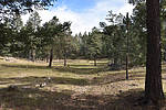 photo thumbnail #2