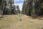 photo thumbnail #3