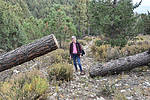photo thumbnail #11