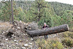 photo thumbnail #12