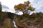 photo thumbnail #9