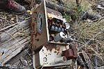 photo thumbnail #12