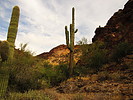 photo thumbnail #10
