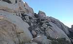 photo thumbnail #4