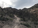 photo thumbnail #5