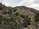 photo thumbnail #11