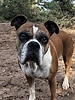 photo thumbnail #4