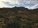 recent photo