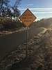 photo thumbnail #13