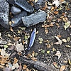 photo thumbnail #9