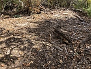 photo thumbnail #10