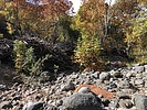 photo thumbnail #12