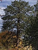 photo thumbnail #14