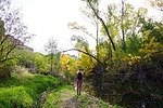 photo thumbnail #9