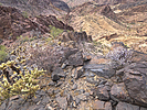 2019-11-16 :1: CODY BM - Gila Bend Mountains :: FLYING_FLIVER