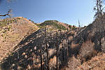 photo thumbnail #10