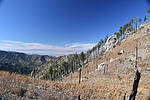 photo thumbnail #12