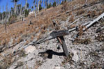 photo thumbnail #13