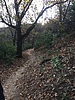 photo thumbnail #11