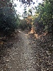 photo thumbnail #12