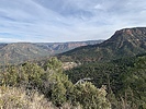 recent photo