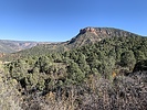 recent photo