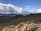 photo thumbnail #2