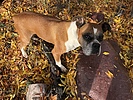 photo thumbnail #4
