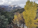 photo thumbnail #6