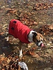 photo thumbnail #11