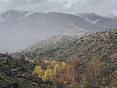 photo thumbnail #13