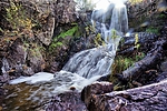 photo thumbnail #11