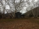 photo thumbnail #11