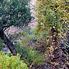 photo thumbnail #12