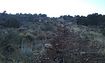 photo thumbnail #1