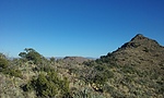 photo thumbnail #13
