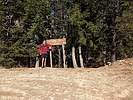 photo thumbnail #3