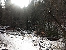 photo thumbnail #6