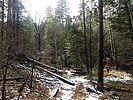 photo thumbnail #7
