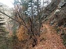 photo thumbnail #9