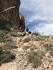 photo thumbnail #12