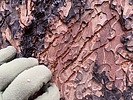 photo thumbnail #3