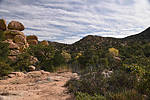 photo thumbnail #11