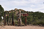 photo thumbnail #14