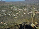photo thumbnail #12