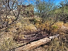 photo thumbnail #4