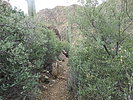 photo thumbnail #9