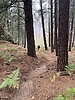 photo thumbnail #10