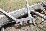 photo thumbnail #2