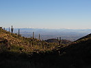 photo thumbnail #12